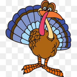 260x260 Peacock Cartoon Png