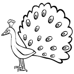 300x300 Cartoon Peacock Coloring Pages Beautiful Peacock Feather Coloring