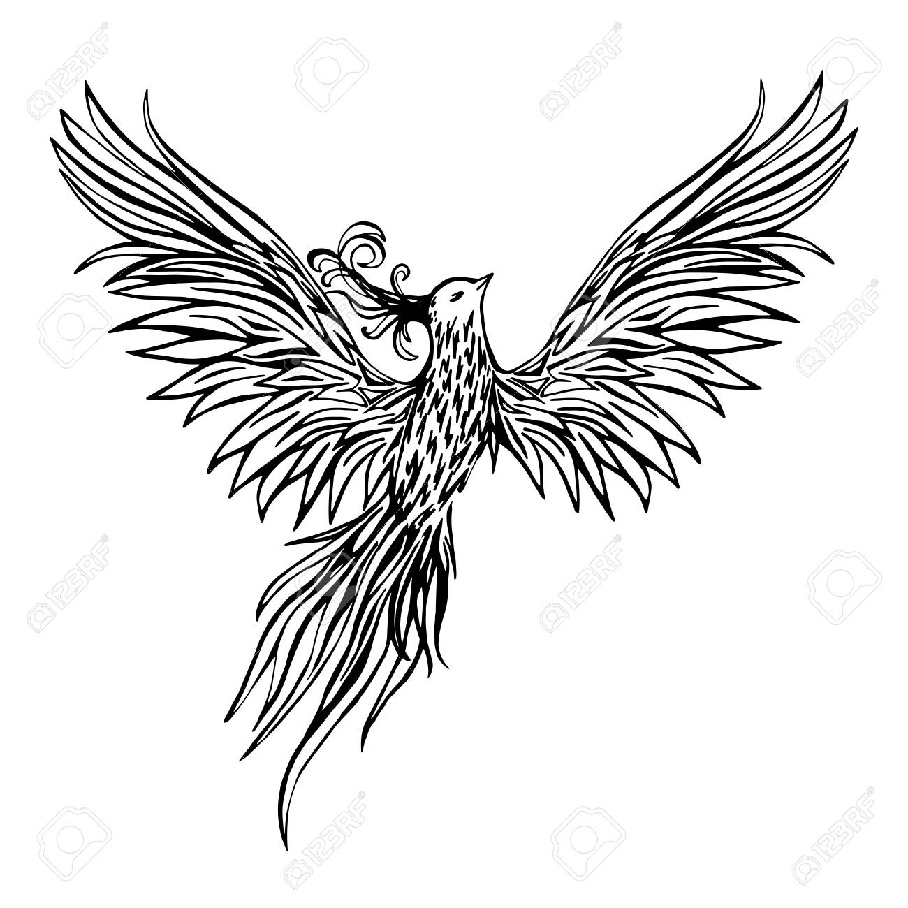 1300x1300 Huge Collection Of 'peacock Tattoo Drawing' Download More Than