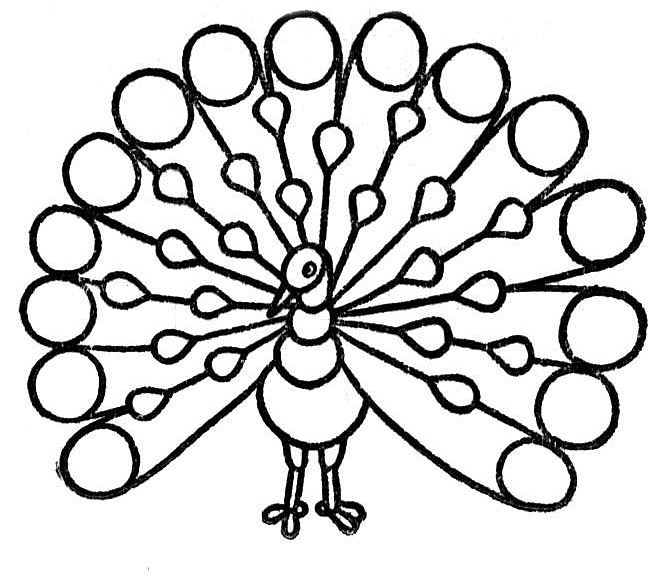 660x575 Peacock Clipart Black And White