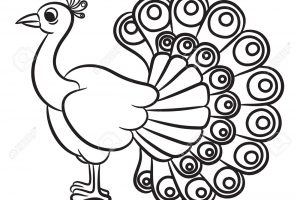 300x200 Peacock Black And White Clipart Clipart Station