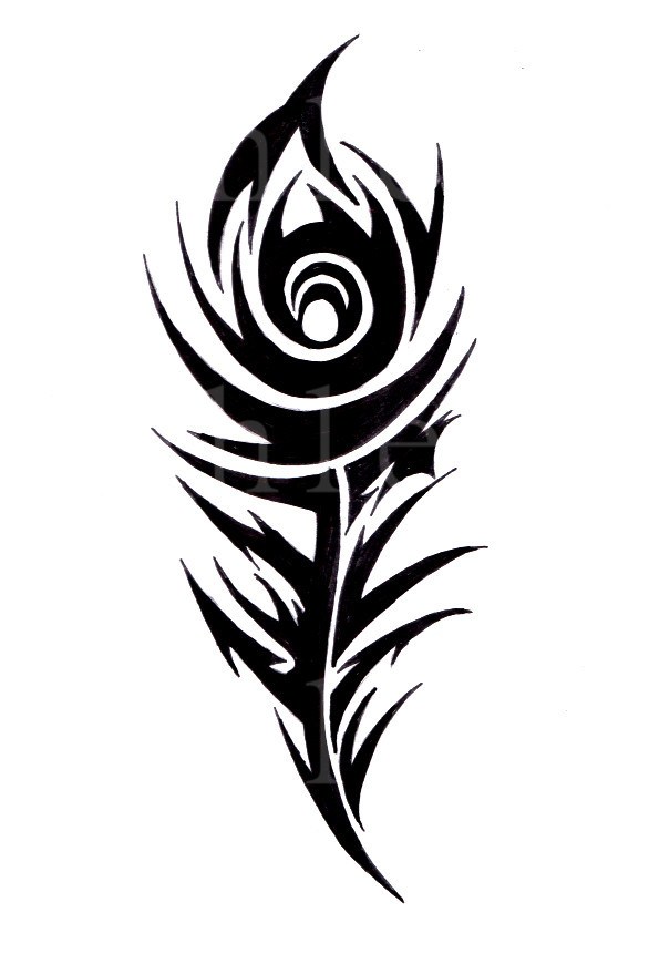 586x870 Black Peacock Drawings Tattoos Ideas And Designs