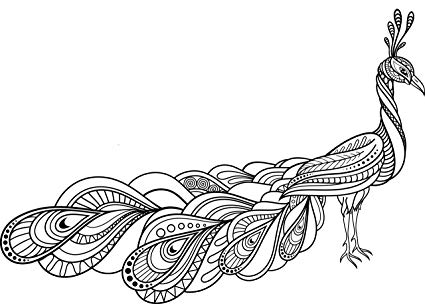 425x304 Pretty Black And White Henna Patterned Peacock Vinyl