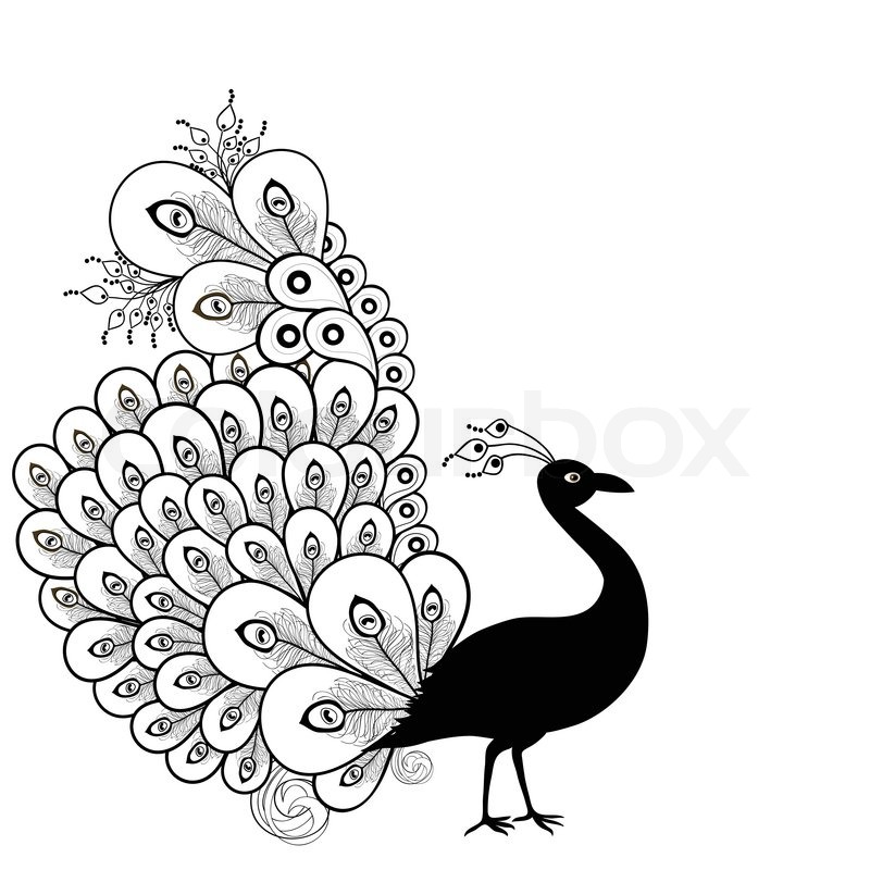 800x800 Card With Abstract Beautiful Peacock Stock Vector Colourbox