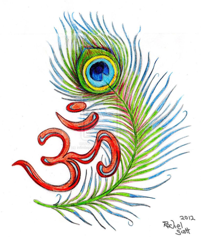822x971 Peacock Clipart Drawn