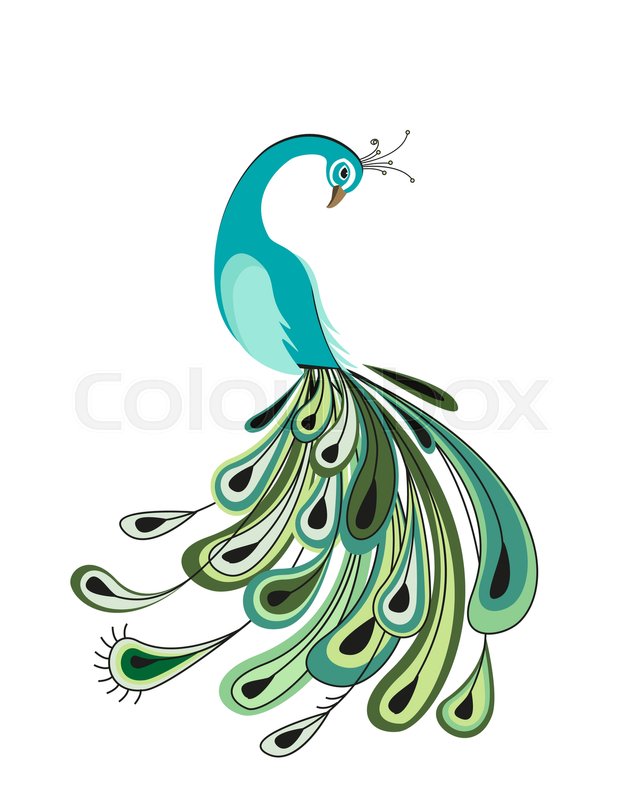 636x800 Vector Illustration Of Peacock Stock Vector Colourbox