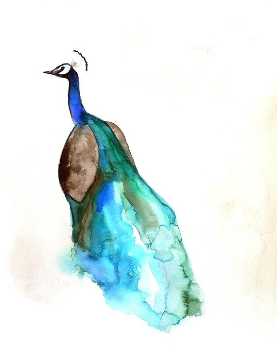 570x711 Water Color Printing Watercolor Painting Peacock Art Bird X