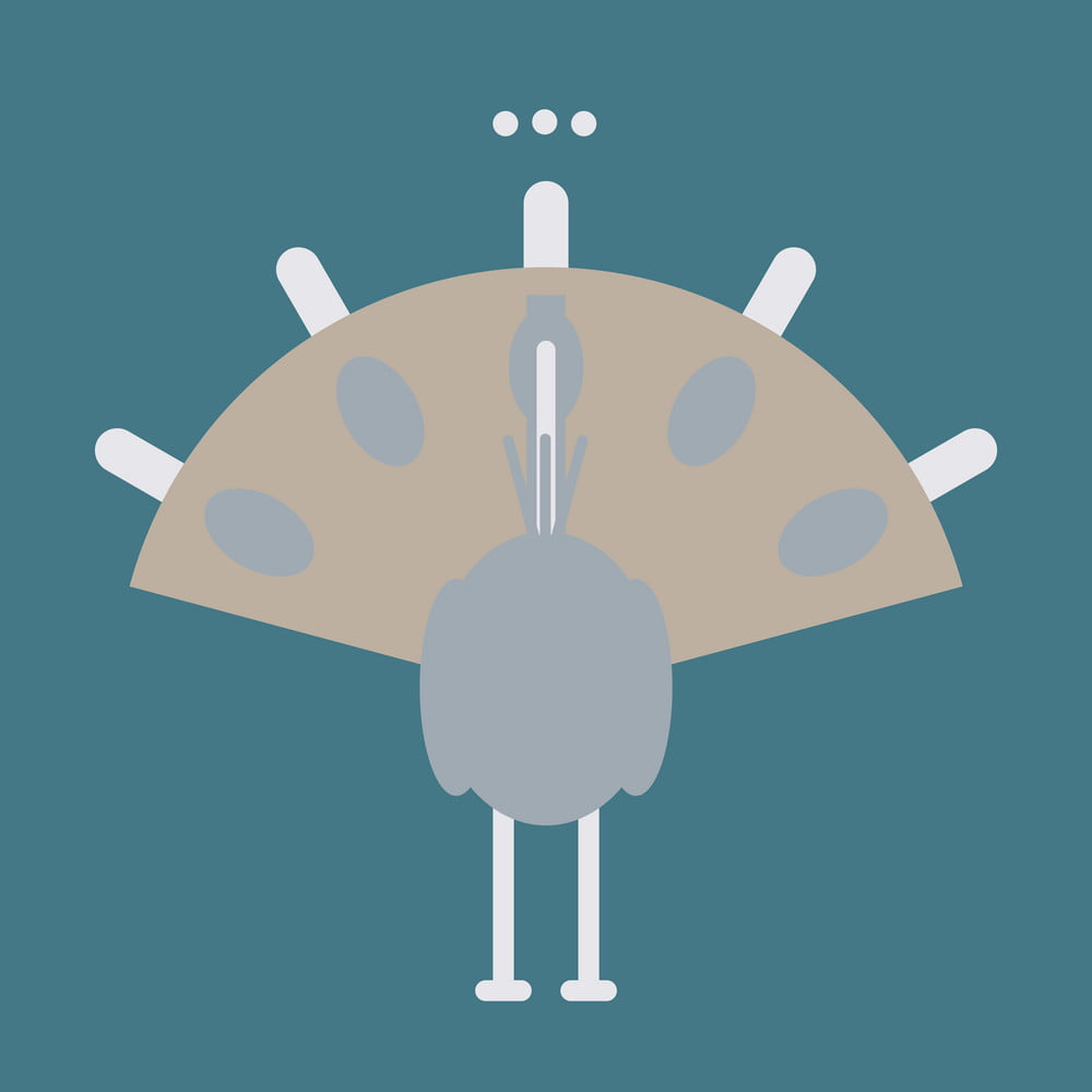 1000x1000 Beautiful Peacock Cartoon Outline Drawing To Color Vector