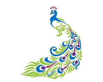 340x270 Peacock Design Etsy