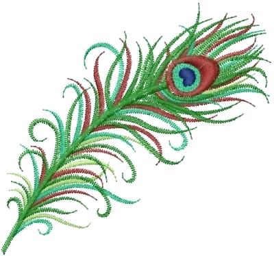 400x374 Peacock Design