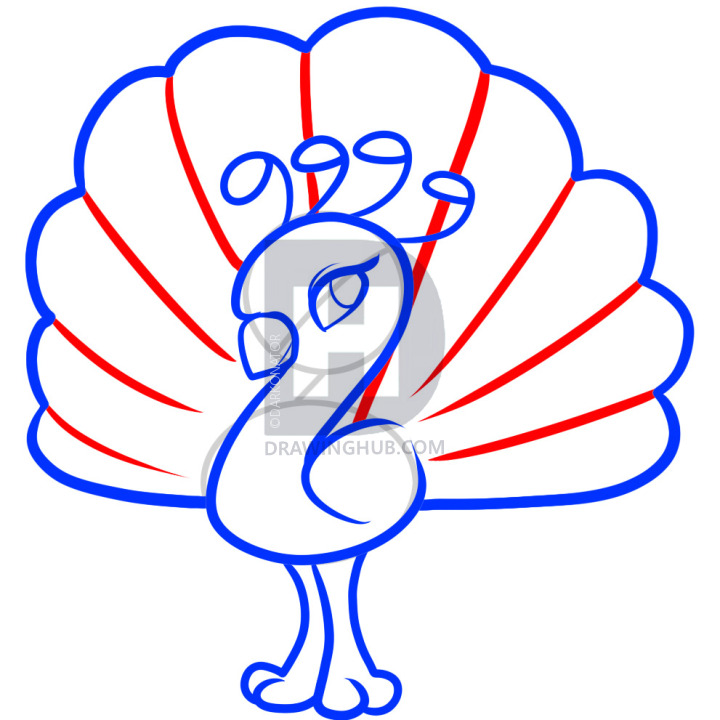 720x720 How To Draw A Peacock For Kids, Step