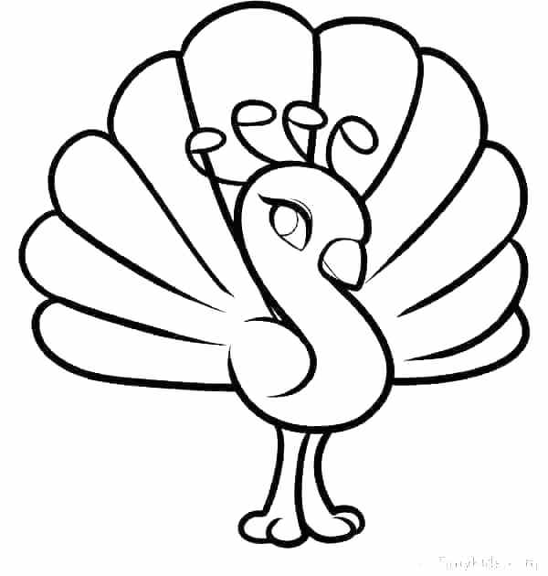 600x630 Peacock Drawing For Kids At Free Personal Use Feather Colouring