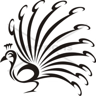 320x320 Peacock Drawing Clipart