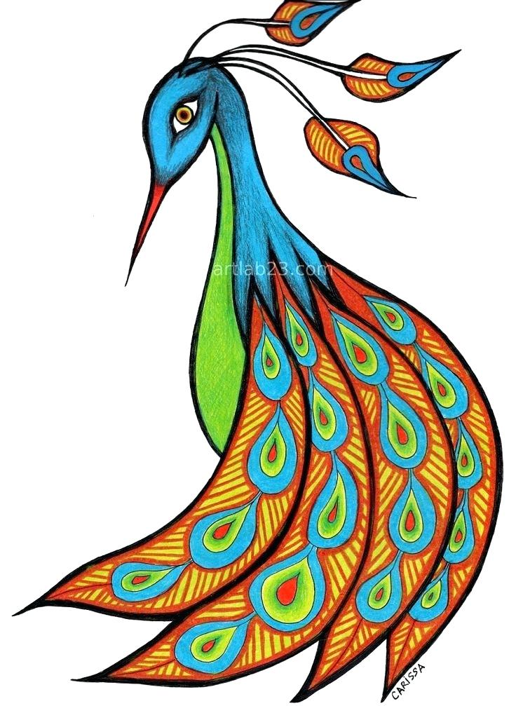 736x1007 Easy Steps To Draw A Peacock How To Draw Peacock Bird Tail Train