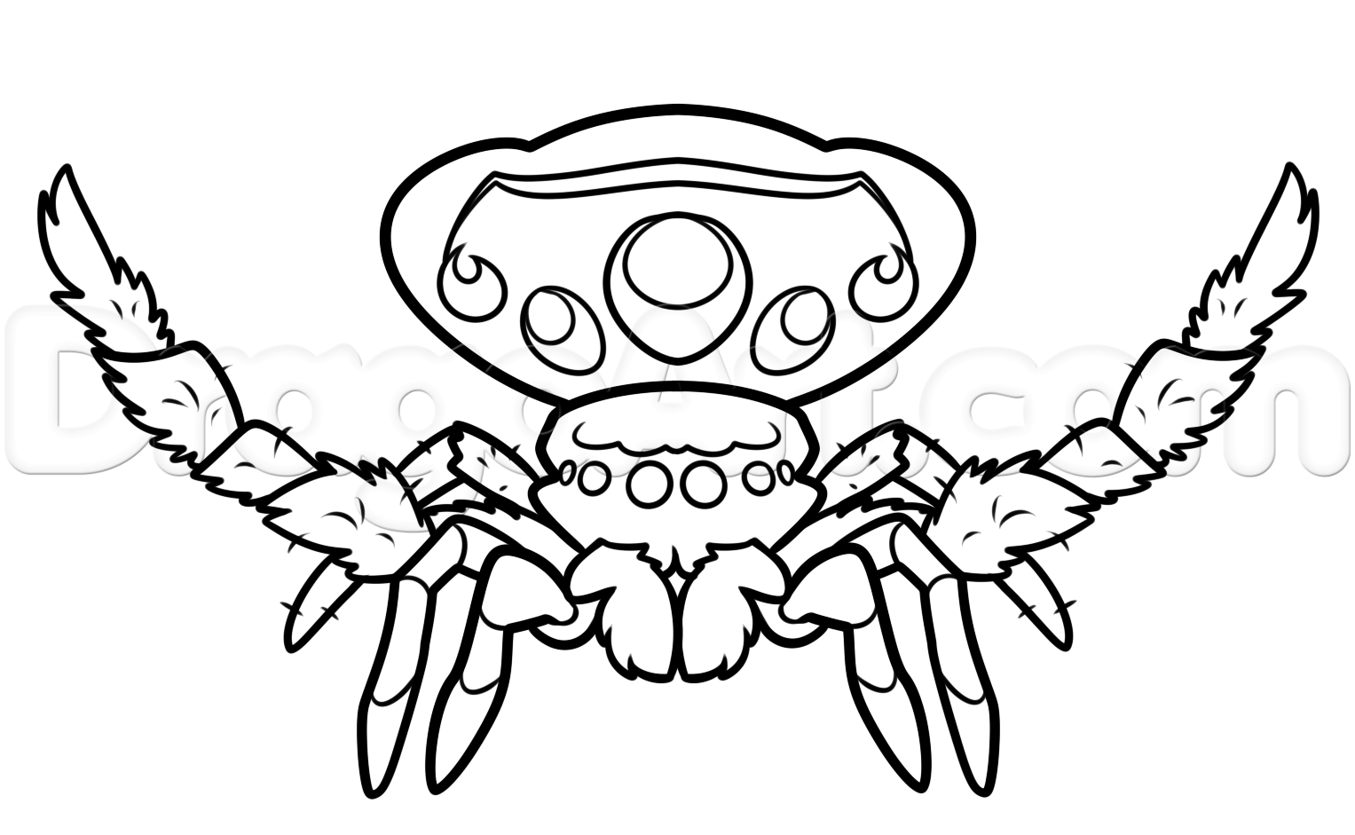 1527x941 Peacock Spider Drawing Tutorial, Step