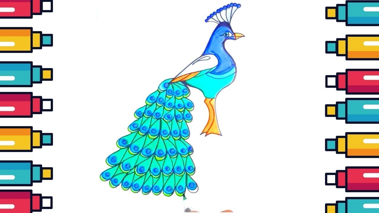 1280x720 How To Draw A Peacock Step