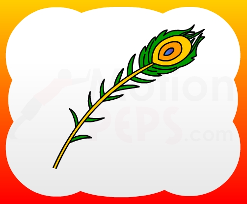 503x415 How To Draw Peacock Feather For Kids