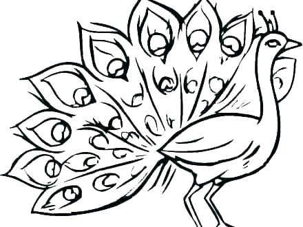 440x330 Coloring Pages Peacock For Kids Colouring Of Realistic Peacocks
