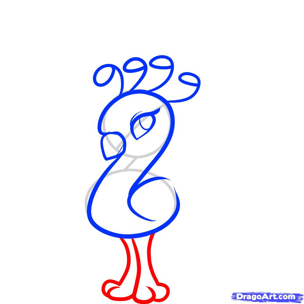 991x991 Drawn Peacock Drawing