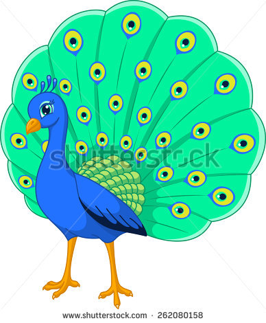388x470 Peacock Dancing In Rain Clipart
