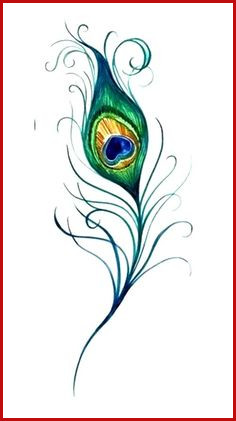 236x421 Peacock Feather Drawing Peacock Drawing With Colour
