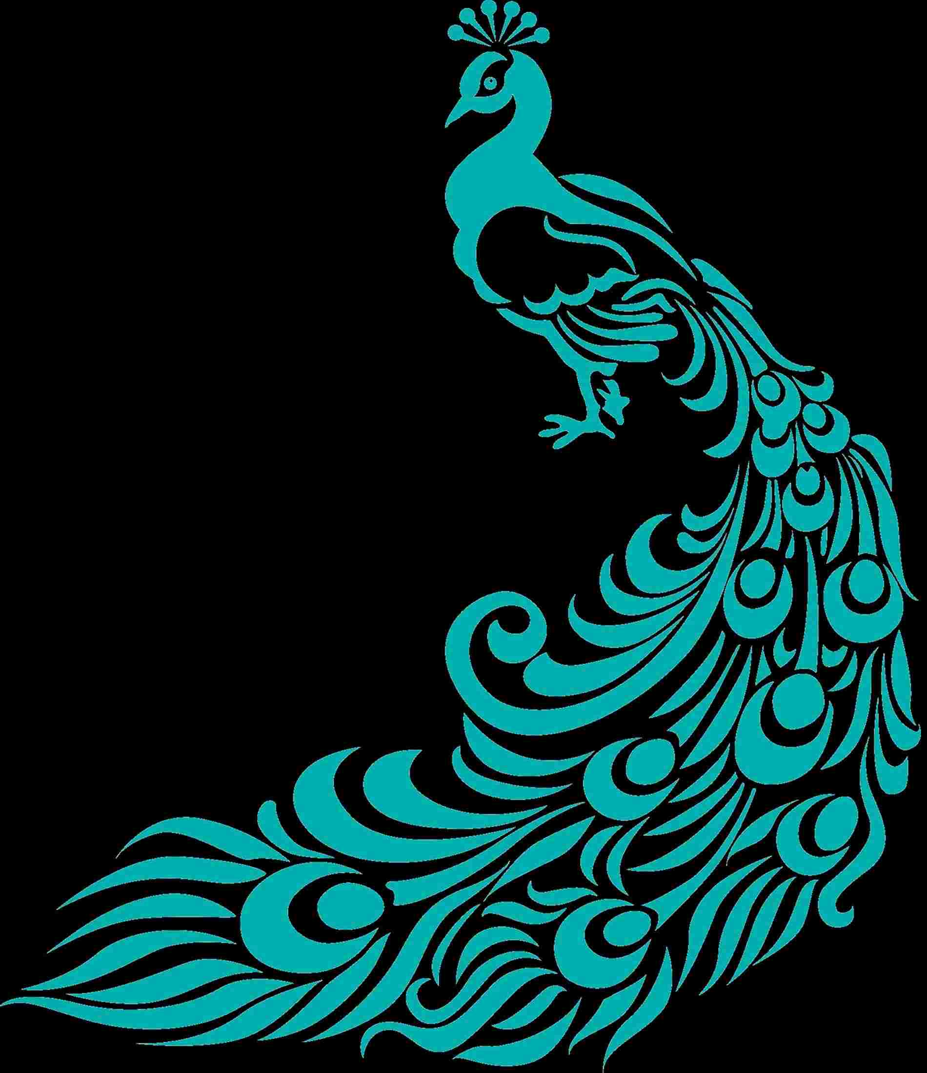 1900x2198 Simple Colorful Peacock Drawing