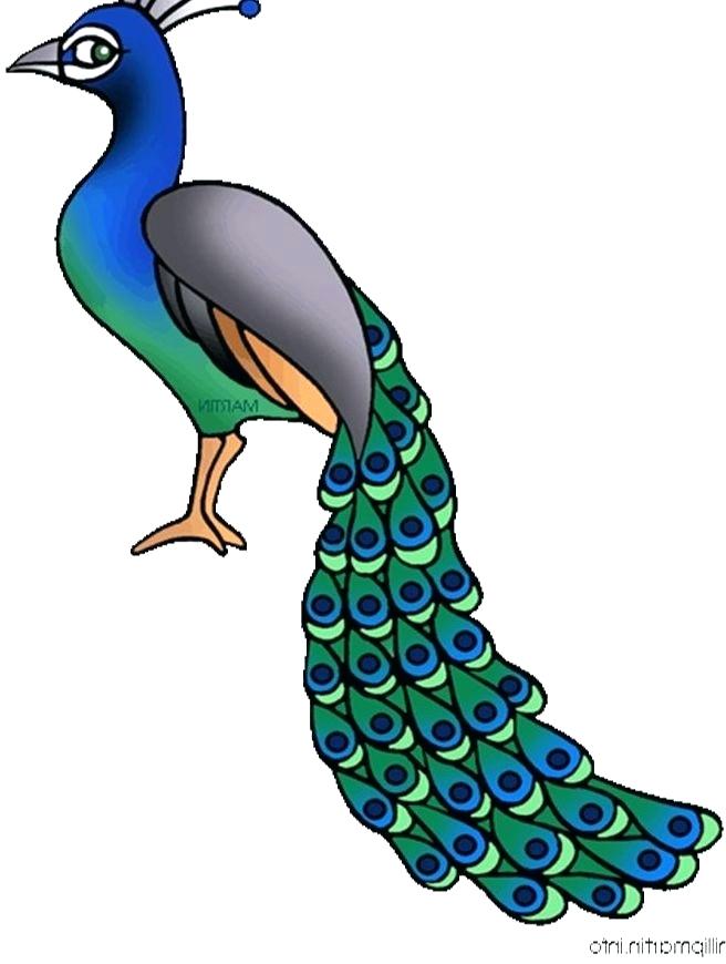 656x870 Simple Peacock New Fashion Jewelry Earrings For Women Charming