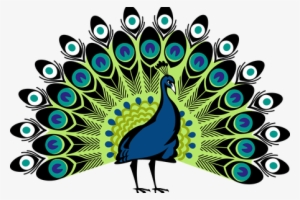 300x200 Vector Free Library Peacock Images Free Download Pictures