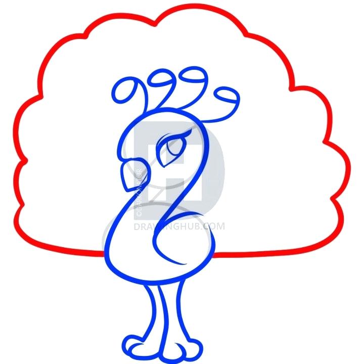 720x720 Draw Peacock