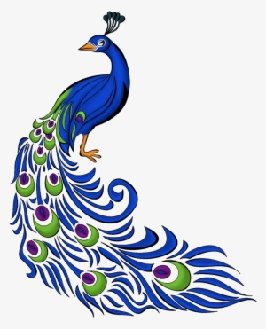 300x371 Peacock Png Images Png Cliparts Free Download On Seekpng