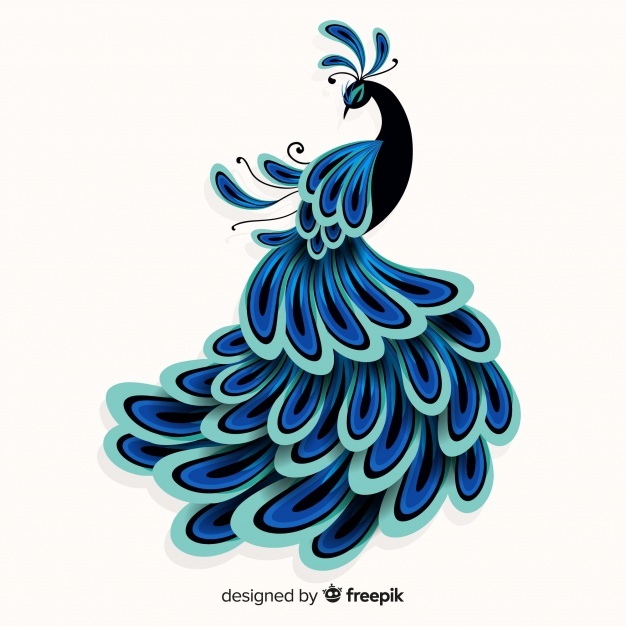 626x626 Peacock Vectors, Photos And Free Download