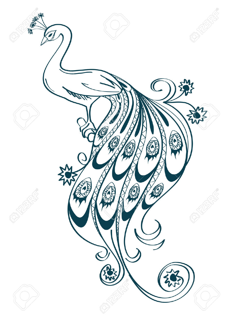 920x1300 Peacock Outline Clipart