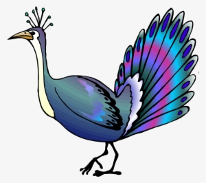 300x266 Vector Free Library Peacock Images Free Download Pictures