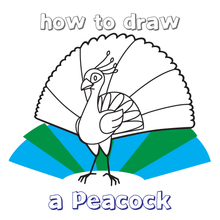 220x220 How To Draw How To Draw A Peacock For Kids