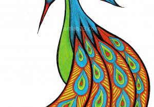 300x210 Peacock Bird Drawing Step