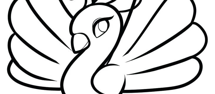 730x320 How To Draw A Simple Peacock