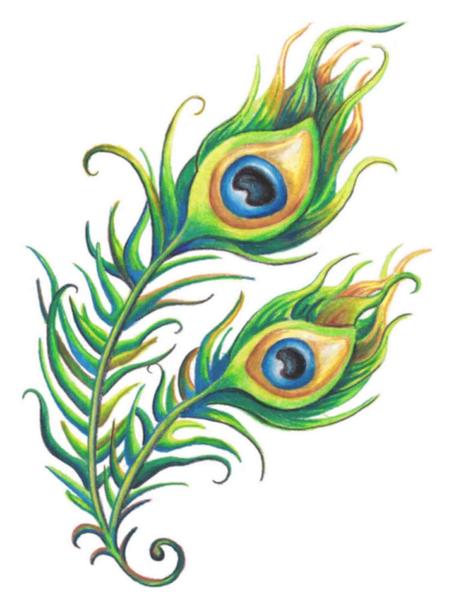 450x600 Hookup Tattoo Peacock Pair Scotty's Make Up Beauty