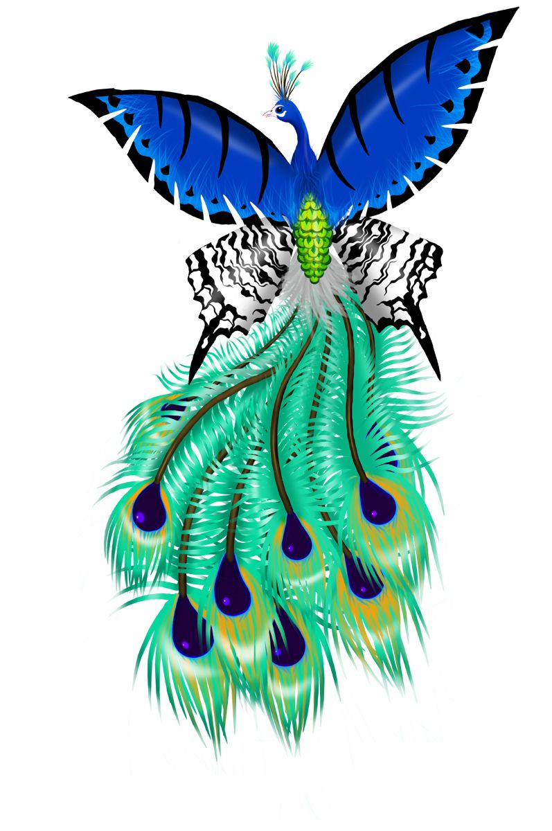 797x1200 Peacock Drawings Peacock Butterfly Tattoo