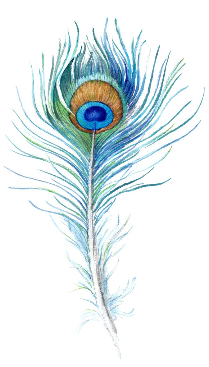 673x1181 Beautiful Peacock Feather Tattoos Ideas