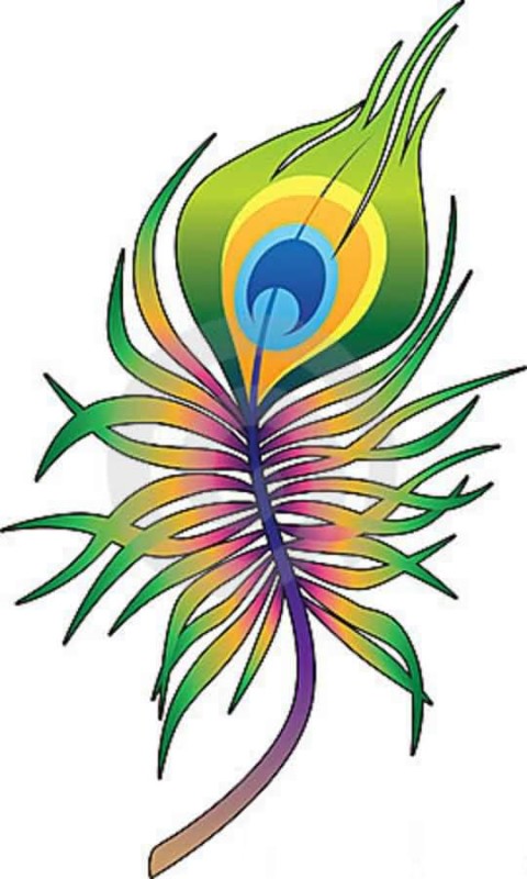 480x800 Amazing Cool Peacock Feather Tattoo Design
