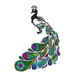 260x260 Peacock Drawing With Colour Easy