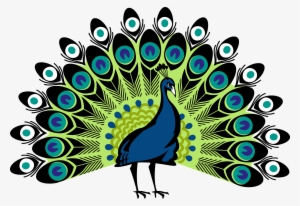 300x206 Peacock Png Download Transparent Peacock Png Images For Free