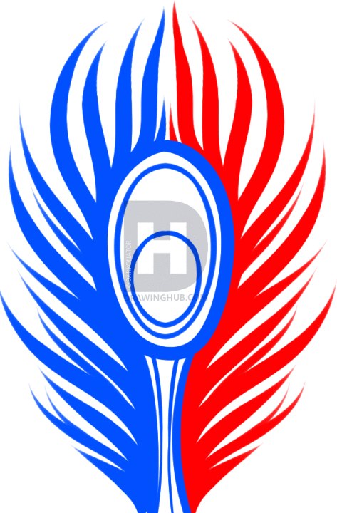 473x720 How To Draw A Peacock Feather, Step