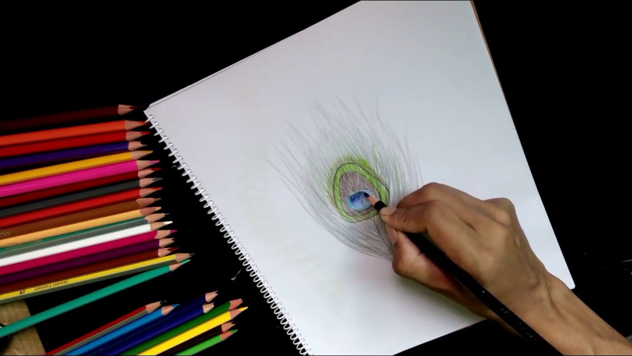 1280x720 How To Draw Peacock Feather