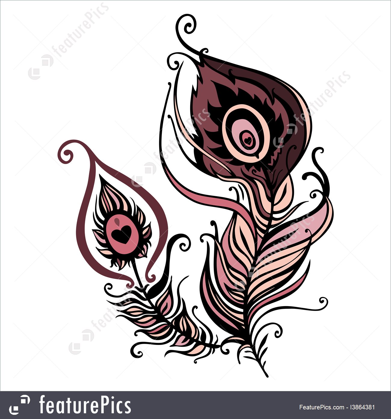 1300x1392 Illustration Of Beautiful Peacock Feather