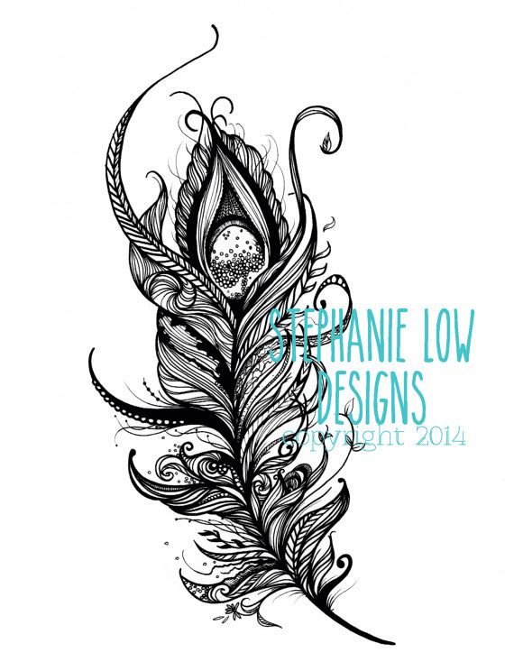 570x744 peacock feather images drawing unique peacock feather clipart