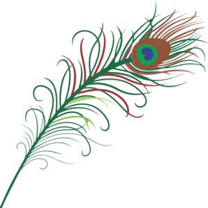 300x300 Peacock Feather Drawing Png Png Image