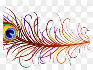 320x240 Simple Clipart Peacock