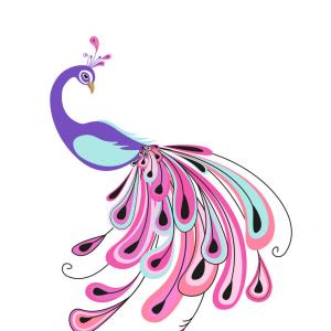 300x300 Top Peacock Feather Vector Drawing Soidergi