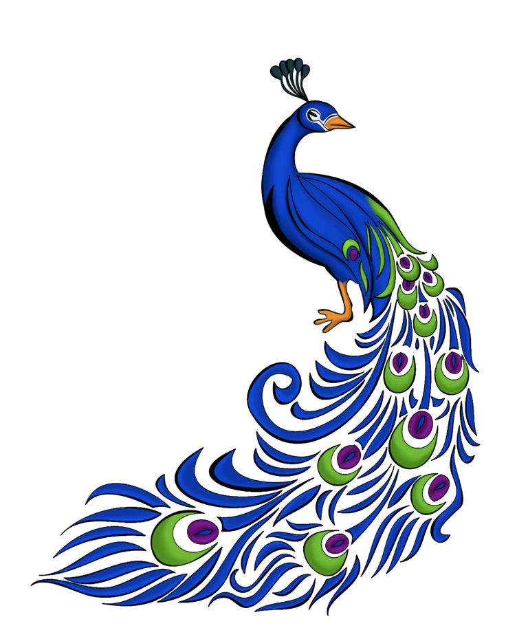 736x929 Peacock Clipart Peacock Feather Clipart
